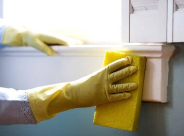 Budget-Friendly Tips for Hiring a Toxic Mold Lawyer in Springfield